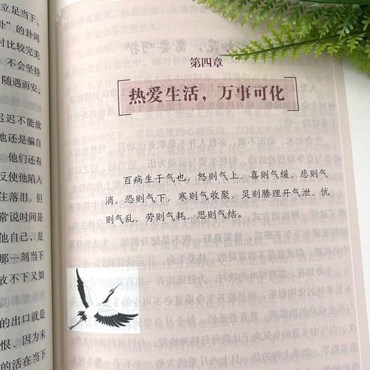 病由心灭--黄帝内经中的祛病心法养生去除烦恼的秘诀，刨根溯源。 商品图4
