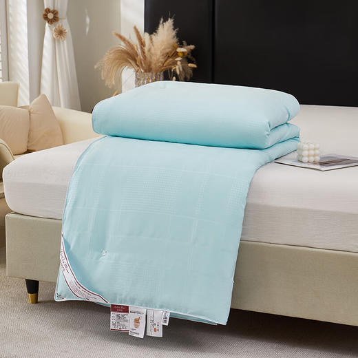 彼加曼 BGM-B2460 浮华巴黎双工艺蚕丝被【LXGWCJ5.0】 商品图6