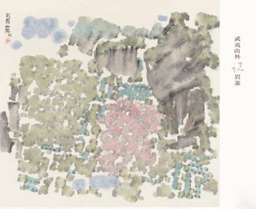 武夷山外说岩茶 商品图1