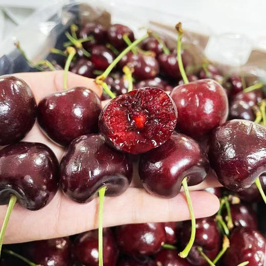 智利车厘子5斤装礼盒-进口原件【水果】ZY  商品图0