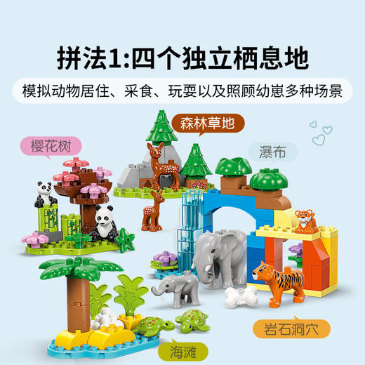 乐高 LEGO 三合一野生动物集合LEGC10446 商品图5
