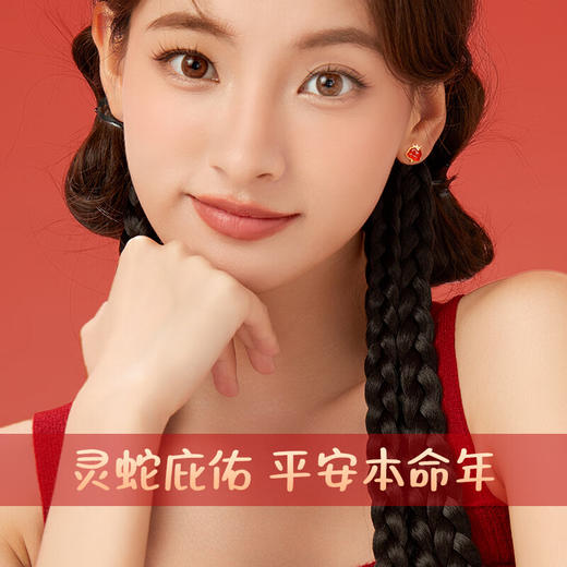 六鑫珠宝 本命年蛇年红运灵蛇红玛瑙银耳钉 商品图3