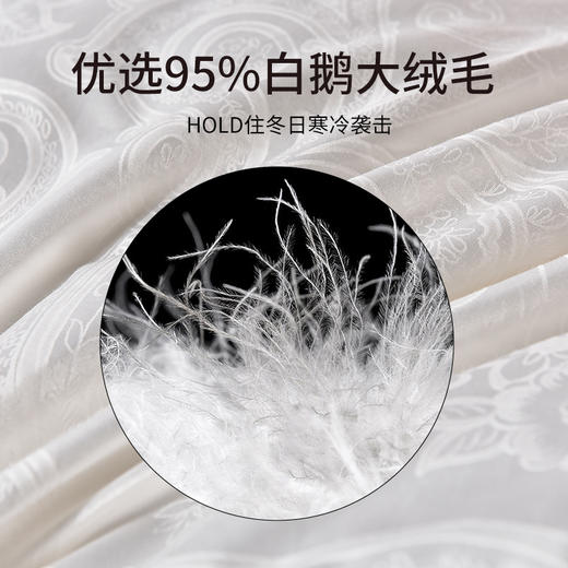 雅芳婷95白鹅绒冬被轻盈保暖透气羽绒被抑菌防螨冬季被芯床上用品 商品图3