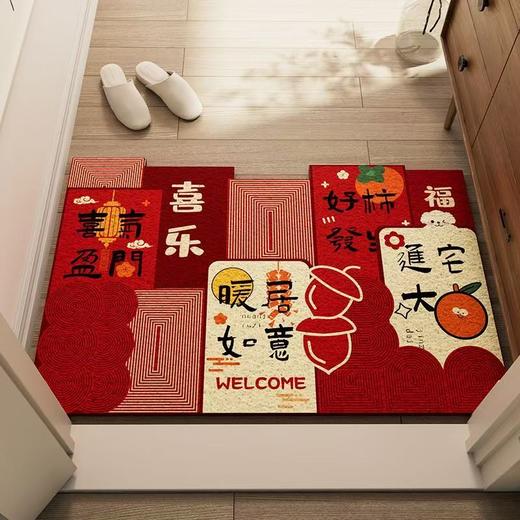 入户门地垫 商品图0
