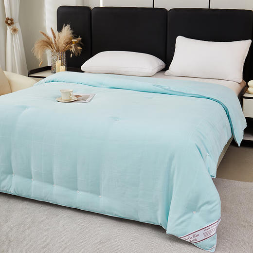 彼加曼 BGM-B2460 浮华巴黎双工艺蚕丝被【LXGWCJ5.0】 商品图1