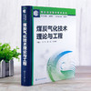 煤炭气化技术：理论与工程 商品缩略图2