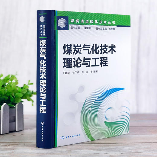 煤炭气化技术：理论与工程 商品图2