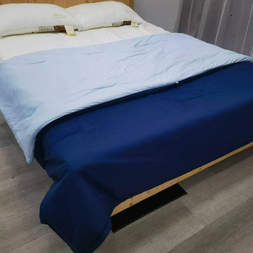 3-5天发货！这是一款好用的被子  冬被  这个冬天有这款被子就够了 ！！ 商品图1