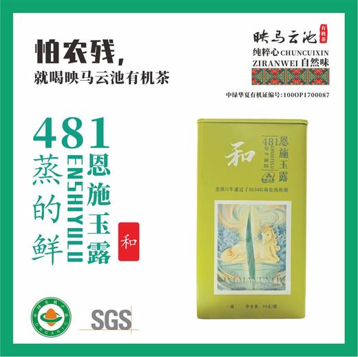 有机绿茶  映马云池 481恩施玉露和 90g【基地直发】 商品图1