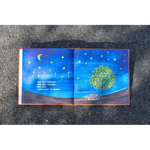 【书香卡专区】魔法象·图画书王国  小象和苹果树 温艾凝 著 商品图4