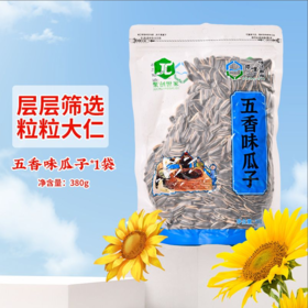 聚创世家瓜子-380g