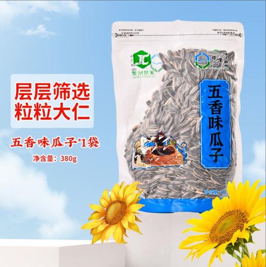 聚创世家原味瓜子-380g 商品图0
