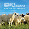 有机苏尼特羔羊（内蒙古）6个月草原有机养殖 商品缩略图12