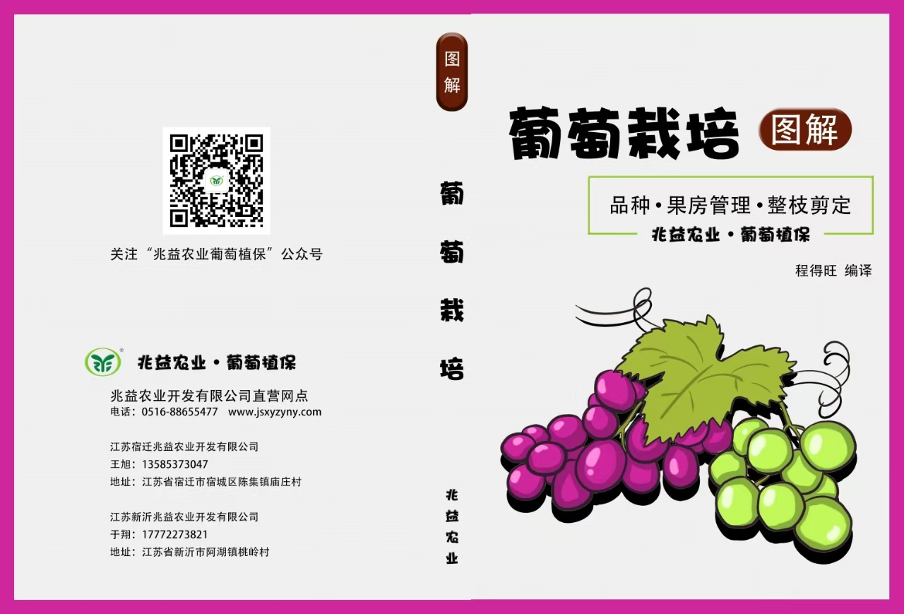 葡萄栽培图解