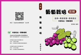 葡萄栽培图解