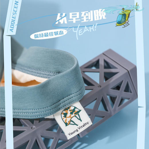 【3条装】青少年棉内裤平角裤男底裤【CSK24327】 商品图2