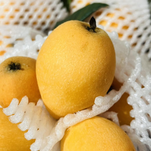 五角星枇杷 1件/12串约5斤  圆润清香 商品图2