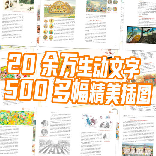 原创图画书阅读与精品 商品图4