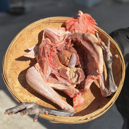 云南跑山鸡 ，下蛋老母鸡！土鸡蛋，高山散养240天以上！味道醇香，营养丰富 商品图2