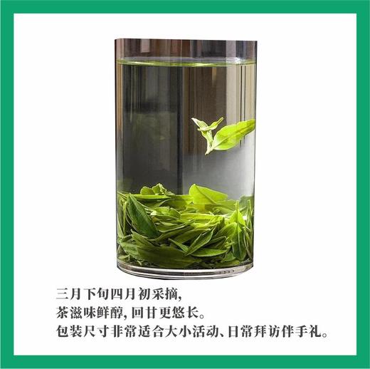 有机绿茶  映马云池 481恩施玉露和 90g【基地直发】 商品图2