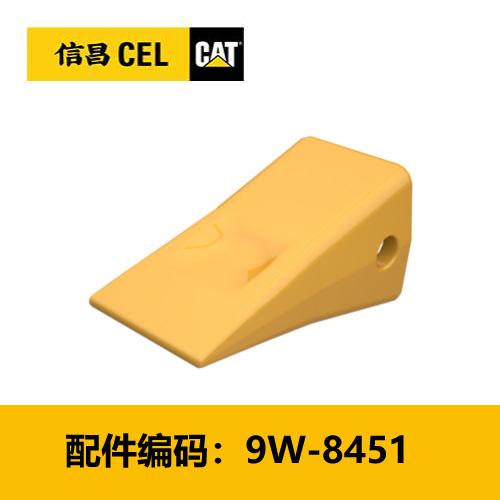 短齿尖(9W8451) 商品图0