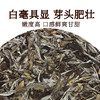 正宗福鼎白茶2021年白牡丹茶叶高山老白茶陈香蜜韵老白茶饼300克 商品缩略图2