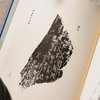 【绝版好书】《董作宾先生全集》全十二册，16开精装，1977年艺文印书馆 商品缩略图7