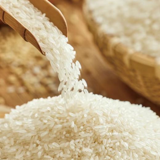 嫩江小蠡农 长粒香米5kg袋装 精品 商品图4