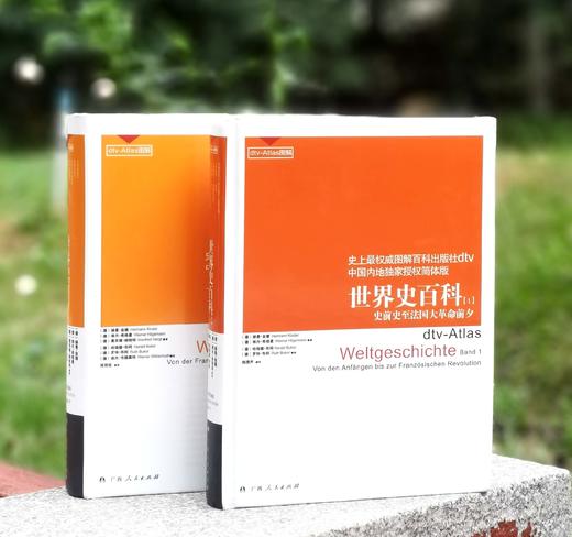 重点推荐！！《dtv世界史百科》，精装，16开，[德]赫曼.金德等编著，广西人民出版社2011年一版一印，1100多页，定价198，售价69元。非偏远地区包邮。 商品图1