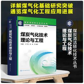 煤炭气化技术：理论与工程