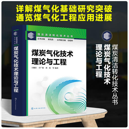 煤炭气化技术：理论与工程 商品图0