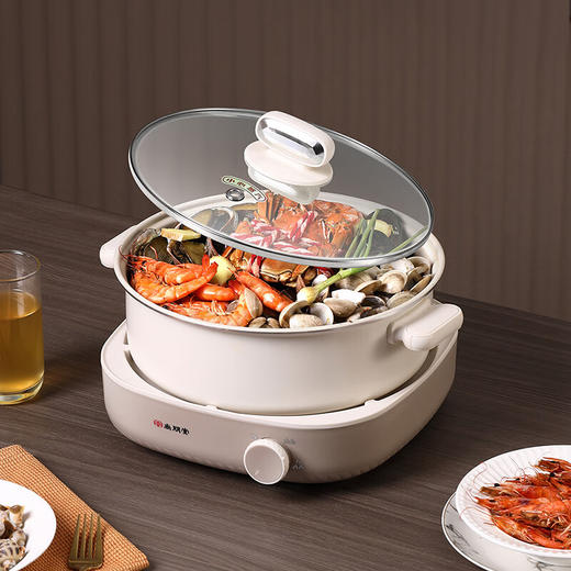 尚朋堂分体式涮火锅_SPT-HG4013A-M32 伊斯顿棕 商品图0