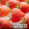 饱记白鹤红颜草莓350g*3盒装新鲜香甜可口果香浓郁礼盒水果 商品缩略图2