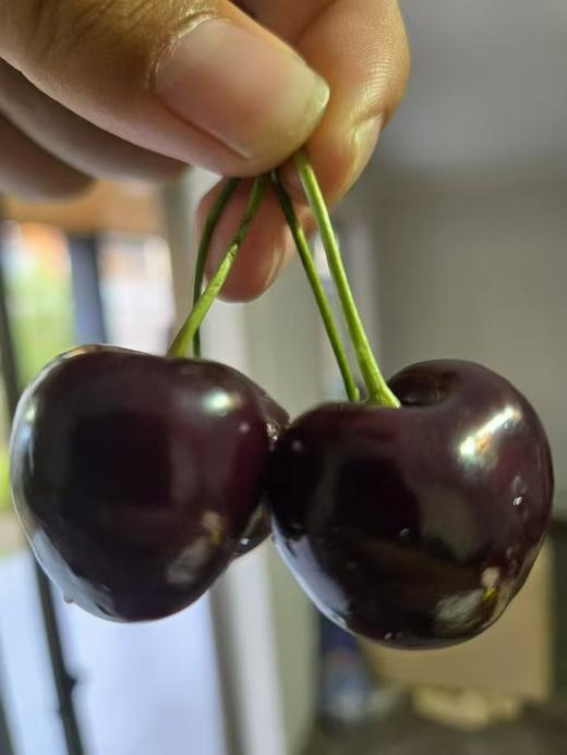 智利车厘子5斤装礼盒-进口原件【水果】ZY  商品图1