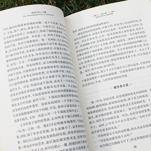 情绪的惊人力量：吸引力法则宗师希克斯夫妇力作！《纽约时报》畅销书，美国书店读者喜爱百大图书之一！张德芬、李欣频、欧普拉一致推荐！ 商品图3