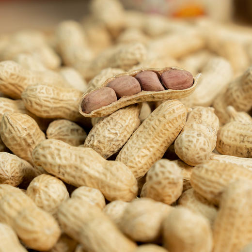 “龙岩花生”是"闽西八大干” 之一   迄今有400多年历史  花生又香又有嚼劲 好吃不上火 商品图2