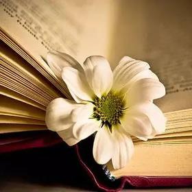  听见 ∣ 母亲的眼泪 