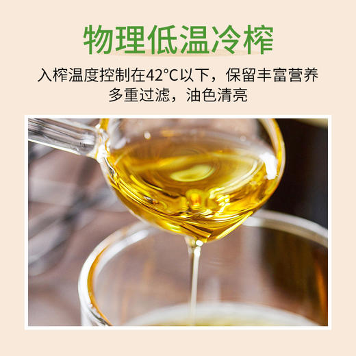 【辅食油组合装】婴幼儿童有机稻米炼制而成 商品图4