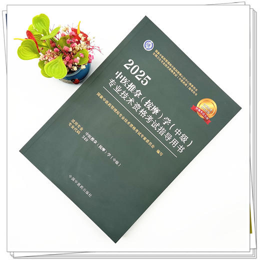 2025年中医推拿（按摩）学（中级）专业技术资格考试指导用书 专业代码349 国家中医药管理局专业技术资格考试委员会 中医药出版社 商品图1