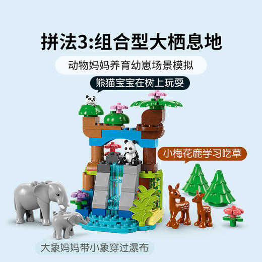 乐高 LEGO 三合一野生动物集合LEGC10446 商品图7