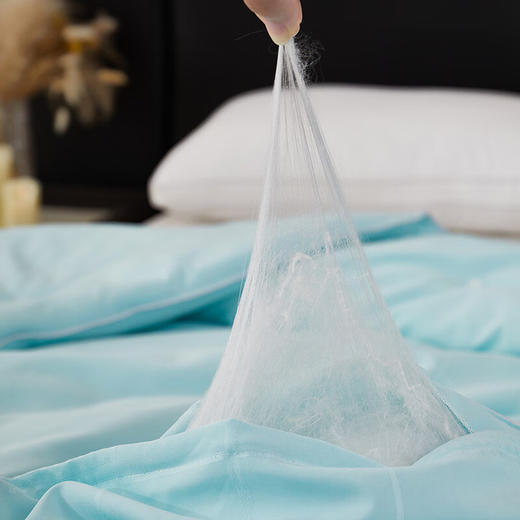 彼加曼 BGM-B2460 浮华巴黎双工艺蚕丝被【LXGWCJ5.0】 商品图5