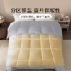 雅芳婷蒂克白鹅绒被蓄热保暖冬季被子被芯鹅绒冬被分区锁温羽绒被 商品缩略图3