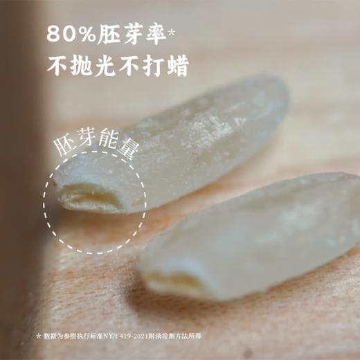 【益品良食】香畴 自然农法  五谷杂粮礼盒  聚四季之气 送礼送健康 商品图12