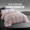 雅芳婷蒂克白鹅绒被蓄热保暖冬季被子被芯鹅绒冬被分区锁温羽绒被 商品缩略图6