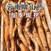 当季现挖【云南新鲜糯山药】辅食药食· 易煮易蒸可炖汤· 仅需10分钟可烂· 软糯香甜 5斤装 商品缩略图0