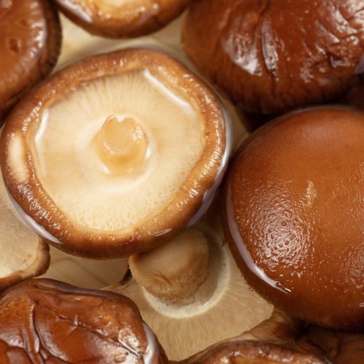 「东方甄选同款」永富大兴安岭有机干香菇  100g/袋 商品图4