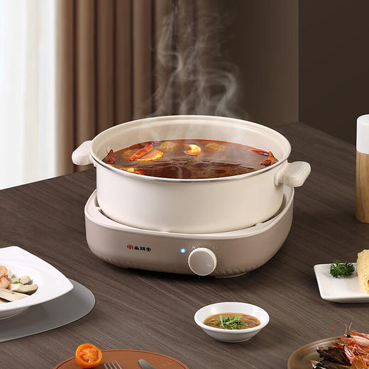 尚朋堂分体式涮火锅_SPT-HG4013A-M32 伊斯顿棕 商品图4