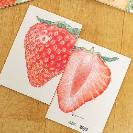 荒井真纪自然观察绘本：全3册（精）（3岁+） 商品图8