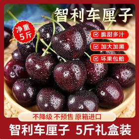 【山东音乐广播专属】【智利车厘子 桑缇娜 】原箱进口 5斤礼盒装 JD/2JD/3JD可选 升级加大加黑 京东发货  全程品控 今年让您实现车厘子自由！圆润饱满 脆甜多汁