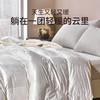 雅芳婷95白鹅绒冬被轻盈保暖透气羽绒被抑菌防螨冬季被芯床上用品 商品缩略图2